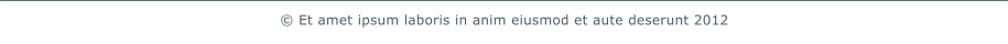  Et amet ipsum laboris in anim eiusmod et aute deserunt 2012